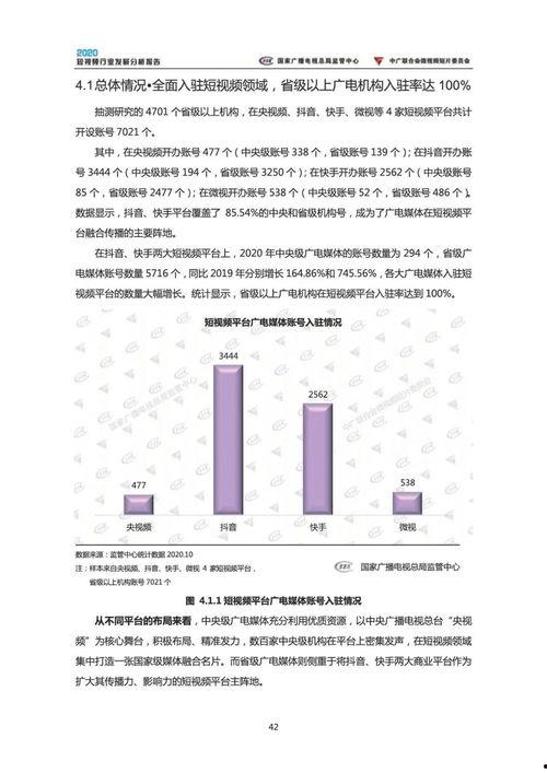 视频分析报告,深度解析画面背后的故事