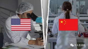 美国人黄色视频,内容、影响与反思