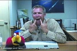 美国人黄色视频,内容、影响与反思