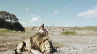 杀狮子视频,猎杀狮子现场直击