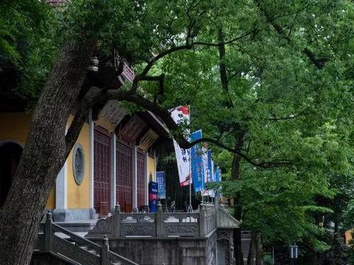 灵隐寺视频,千年古刹的宁静与庄严