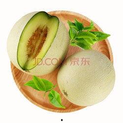 海阳网纹瓜今日价格,价格行情一览