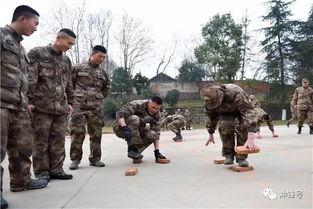 摸石头过河游戏视频,挑战与智慧的较量