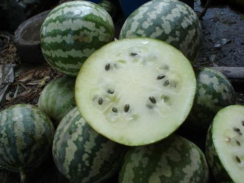 黑瓜怎么快剥皮吃,黑瓜快速剥皮食用技巧揭秘