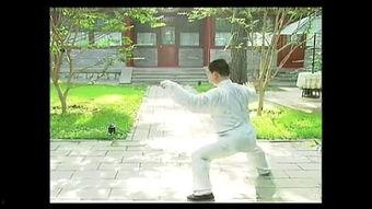 混元太极拳视频,传承千年国术，揭秘内功心法