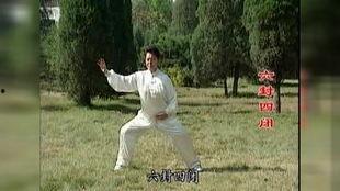 混元太极拳视频,传承千年国术，揭秘内功心法