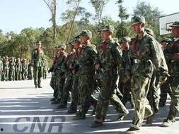 单兵队列视频,严谨纪律下的军事风采展现