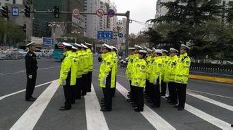 单兵队列视频,严谨纪律下的军事风采展现