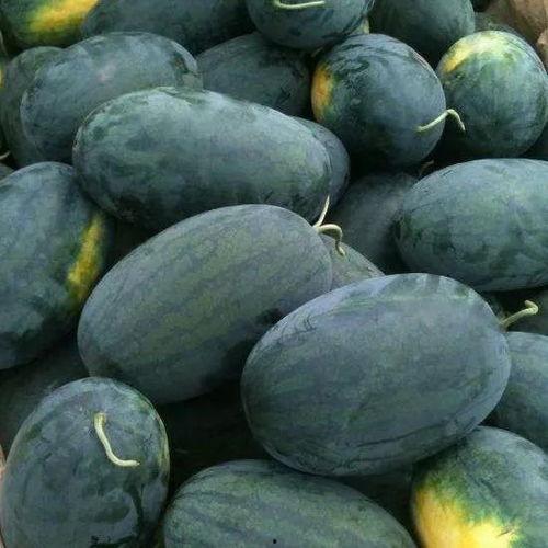 汝州黑妮吃瓜,揭秘吃瓜群众的独特魅力