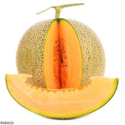 黑八哥可不可以吃哈密瓜,探索鸟类饮食之谜