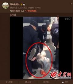 视频 截图,一窥瞬间背后的精彩瞬间