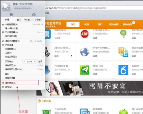 浏览器下载视频,轻松掌握视频保存技巧