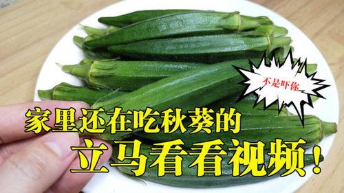 秋葵视频,揭秘秋葵的营养与美味，轻松掌握烹饪技巧