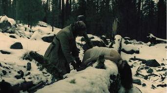 恐怖视频素材,揭秘恐怖视频背后的惊悚故事