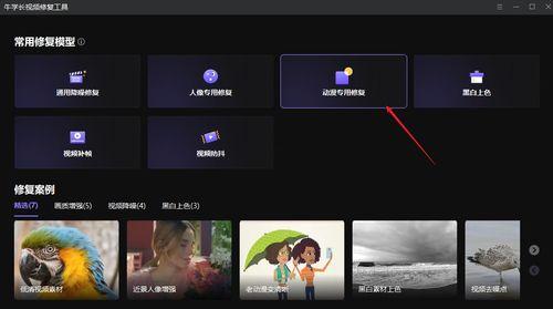 视频的种类,不同类型视频的精彩概述