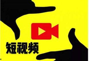 起点视频,探索无限创意的影视世界