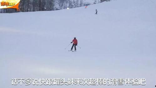滑雪视频教程,从入门到精通，视频教学助你轻松驾驭雪场