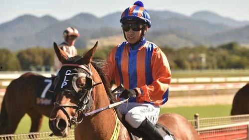 赛马视频大全,视频大全中的速度与激情瞬间