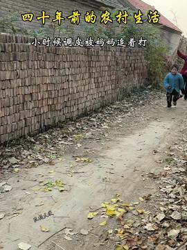 农村生活视频,农村生活视频中的美好时光