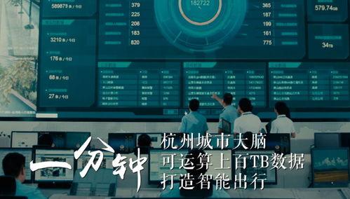 浙江视频,探寻江南水乡的韵味与活力