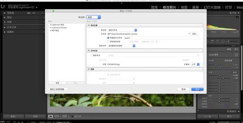 修图视频,从入门到精通的技巧解析