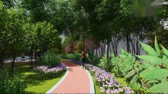 园林 视频,视频中的古典园林风情掠影