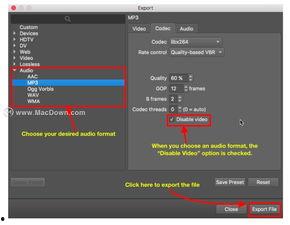 视频音轨,跟随旋律探寻视频背后的故事