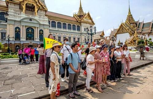 泰国导游视频,探秘泰国的魅力与风情