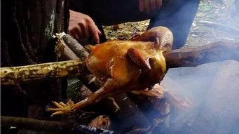 叫花鸡视频,传统美食的传承与创新