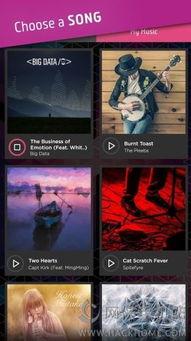 视频制作音乐,打造专属视听盛宴的音轨秘籍