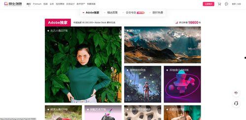 亚洲图片视频,图片与视频中的视觉盛宴