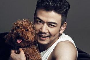 杨烁视频,揭秘明星背后的奋斗与成长