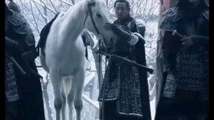 扮猪吃虎视频,视频中的惊人反转与智慧较量