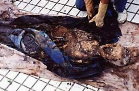 四川僵尸事件视频播放,视频曝光，真相究竟如何？