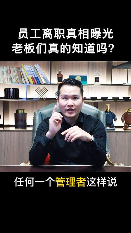 老板视频,深度解析其成功之道