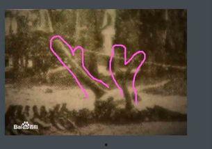 黑龙江坠龙事件视频,神秘现象引发热议