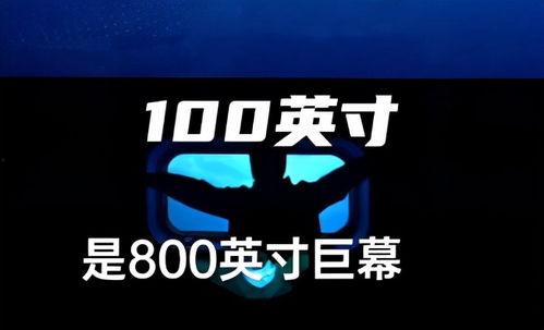 八百视频,揭秘历史传奇，探寻文化精髓