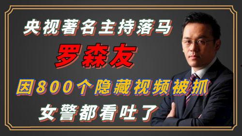 八百视频,揭秘历史传奇，探寻文化精髓