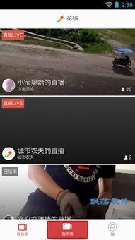 在线观看手机视频,手机视频在线观看体验解析