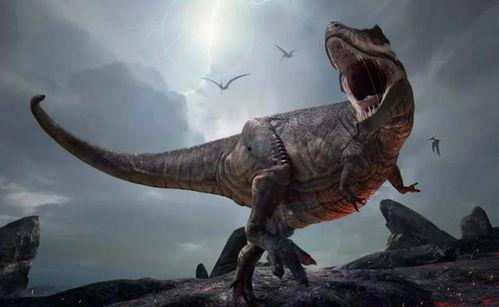 孔龙视频,揭秘人生百态，探寻生活真谛