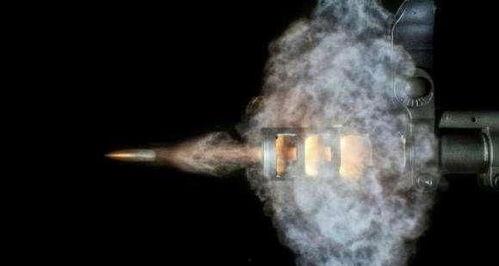 孔龙视频,揭秘人生百态，探寻生活真谛