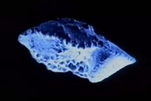 孔龙视频,揭秘人生百态，探寻生活真谛