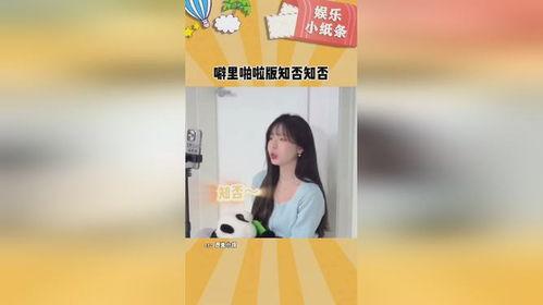 噼里啪啦视频,趣味动画，开启孩子快乐学习之旅