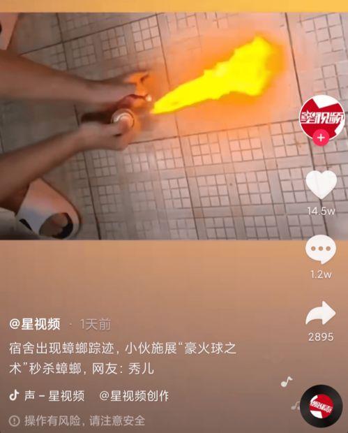 玩火视频,揭秘极限挑战背后的惊险与刺激