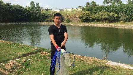 手抛网捕鱼视频,传统技艺与现代视角的完美融合