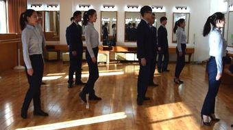 礼仪视频,解锁优雅社交之道