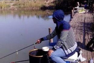 钓黑坑视频,跟随视频学钓鱼