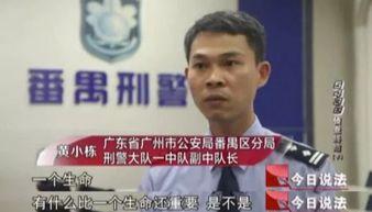 今日说法卖瓜老板视频,揭秘卖瓜老板的神奇瓜摊