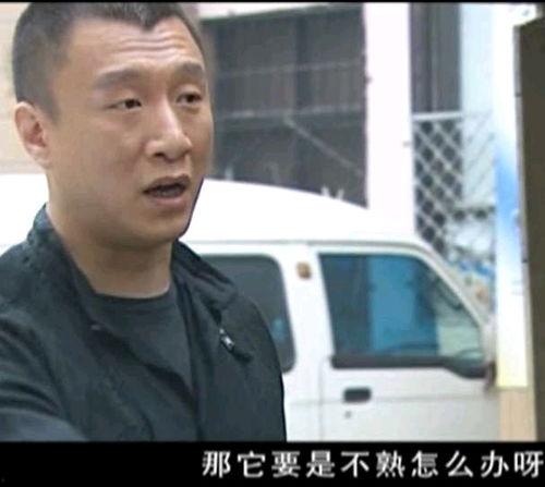 今日说法卖瓜老板视频,揭秘卖瓜老板的神奇瓜摊