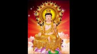 佛法视频,视频中的心灵启迪之旅